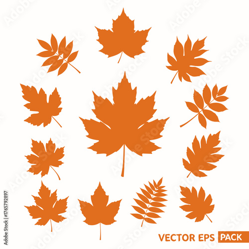 A collection of various orange autumn leaf silhouettes isolated on a white background.