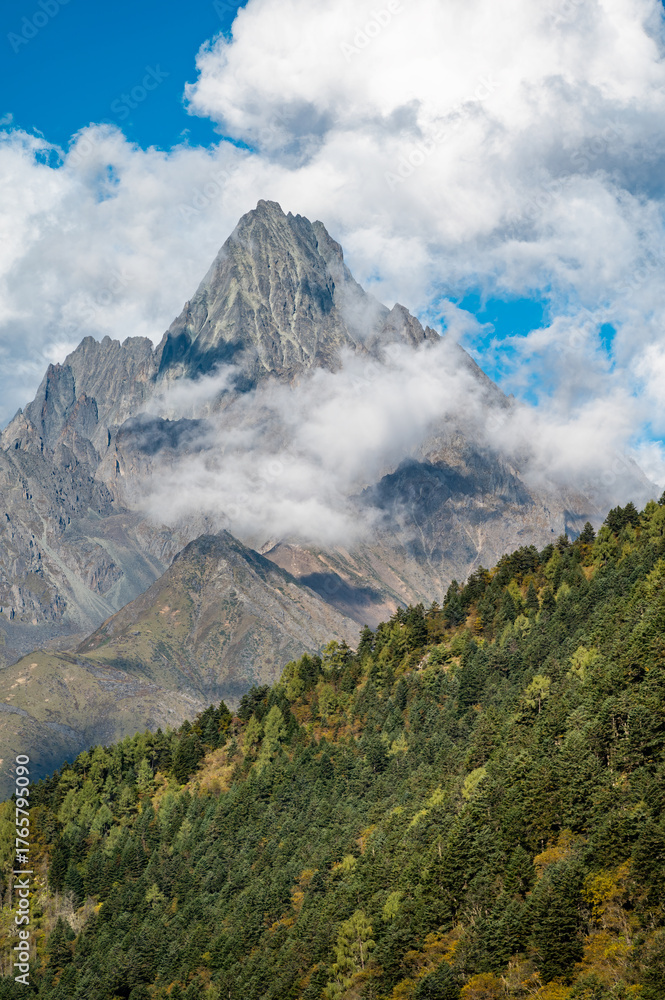 Fototapeta premium High mountain forest scenery in the Qinghai Tibet Plateau region