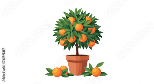 Orange tree in a pot with ripe oranges and green leaves.