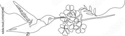 Flying Hummingbird and Flowers in Continuous Line Art. Minimalist Bird Vector Illustration