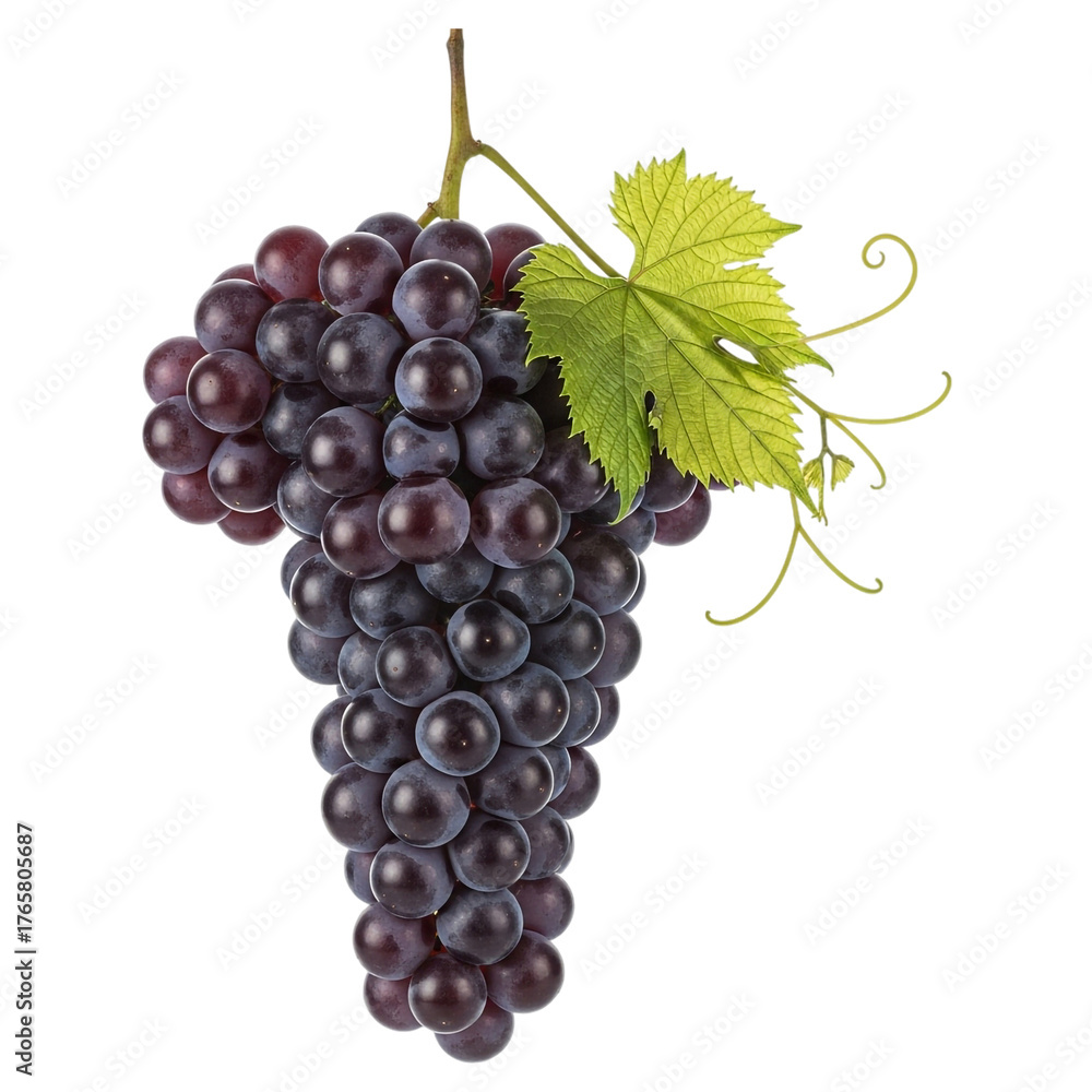 Fototapeta premium A vibrant cluster of dark grapes isolated on transparent background, a testament to the beauty of natural produce