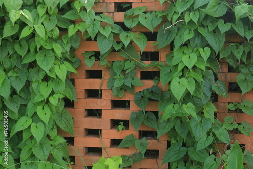 brick walls arranged sparsely to allow air ventilation, with climbing plants growing on them, creating a green and red contrast.