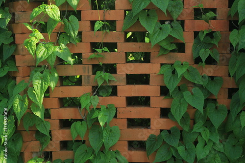 brick walls arranged sparsely to allow air ventilation, with climbing plants growing on them, creating a green and red contrast.
