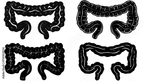 Gut health illustration showing diverse colon anatomy for educational materials and medical publications