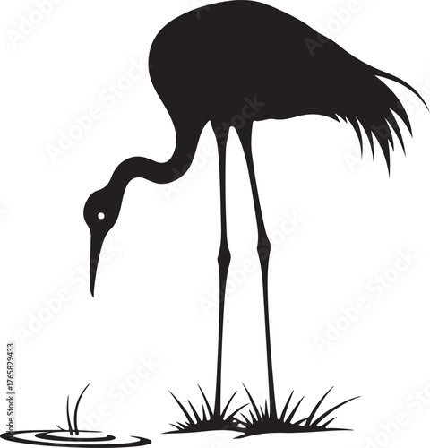 Black silhouette of a crane bending over water bird