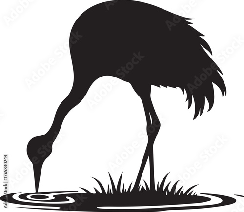 Black silhouette of a crane drinking water from a pond