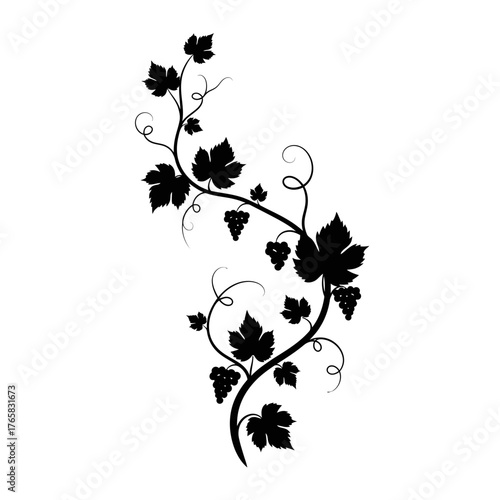 Black and White Vine With Grapes and Leaves Ornamental