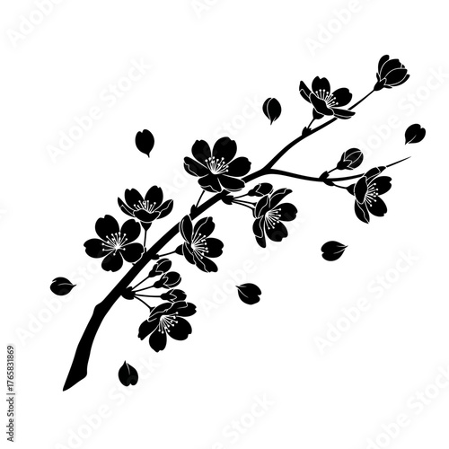 Black and White Illustration of Cherry Blossom Branch With Delicate Falling Leaves