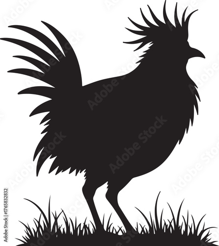 Black silhouette of a rooster standing in grass chicken