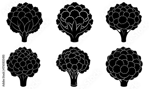 Elegant vector drawing of six cauliflower heads, ideal for food blogs, recipe sites, healthy eating guides, and organic produce marketing materials