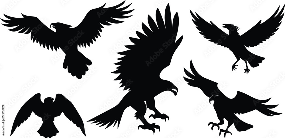 Obraz premium Five Black Silhouettes of Eagles in Flight and Landing