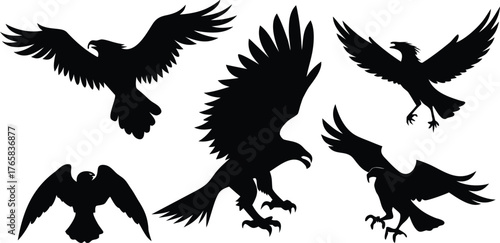 Five Black Silhouettes of Eagles in Flight and Landing