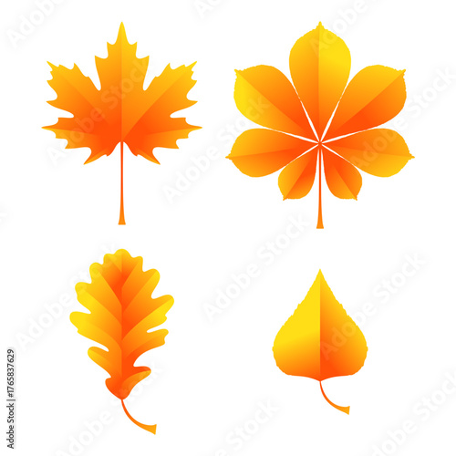 Yellow autumn leaves. Maple, chestnut, oak, and birch. Set of isolated vector illustrations