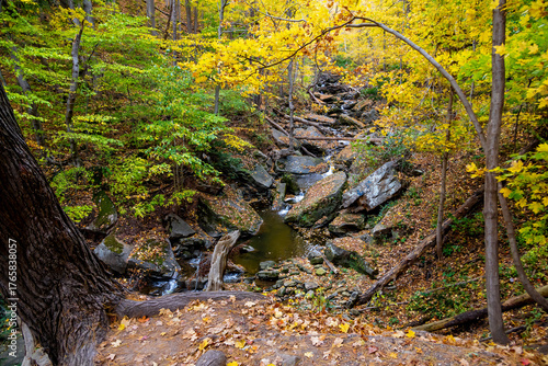 Stunning autumn scene at Smokey Hollow Falls Trail in Hamilton, Ontario, showcasing vibrant foliage and tranquil waters.