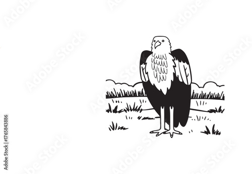 silhouette of a Eagle