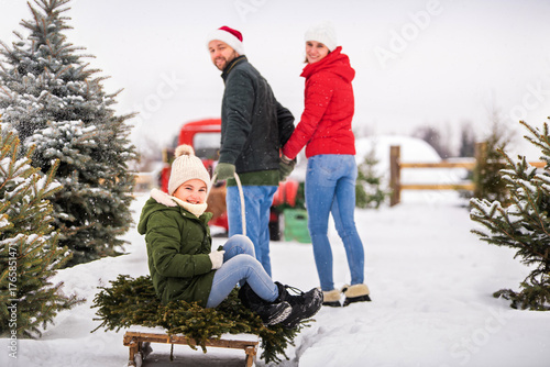 Canvastavla family carries a Christmas tree on a sleigh, having chosen it from a Christmas tree farm