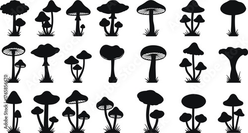 Collection of black silhouette mushroom illustrations with grass bases black and white fungi