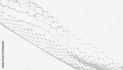Abstract grayscale image with a textured pattern reminiscent of reptile scales across a diagonal