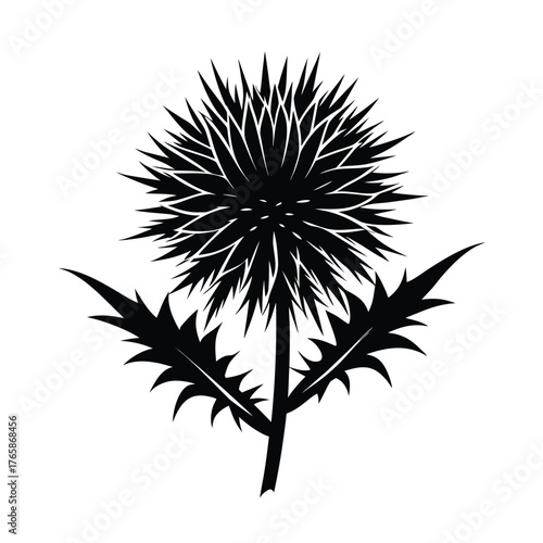 Black silhouette of a spiky thistle flower with pointed leaves on a white background