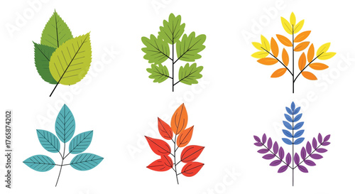 Colorful collection of various stylized leaf shapes and vibrant autumn hues