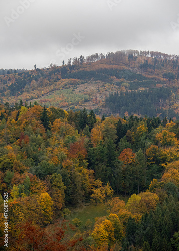 Złota jesień w górach – malowniczy krajobraz pełen kolorowych drzew, mgieł unoszących się nad doliną i ciepłego światła zachodzącego słońca. Fotograf uchwycił spokojną, naturalną scenerię górskiego pe