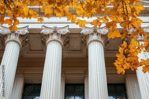 columns in autumn