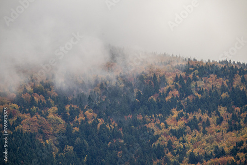 Złota jesień w górach – malowniczy krajobraz pełen kolorowych drzew, mgieł unoszących się nad doliną i ciepłego światła zachodzącego słońca. Fotograf uchwycił spokojną, naturalną scenerię górskiego pe
