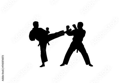 Two martial arts practitioners in a dynamic vector silhouette showing a kick and block during combat training