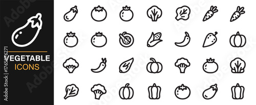 Modern thin line vegetable pictograms for UI and packaging design.