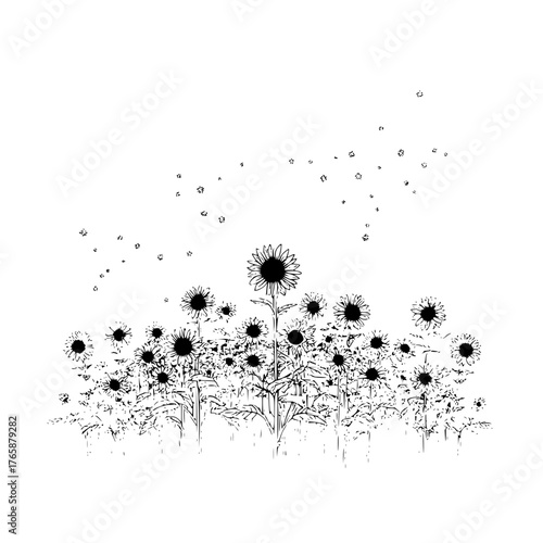 A black and white illustration of a field of sunflowers with small flowers floating above them in the sky