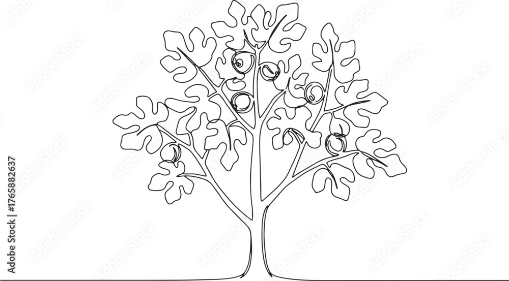 Fototapeta premium Elegant minimal continuous line drawing of fig tree with fruit a