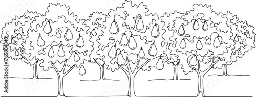 Minimalist pear orchard illustration with continuous line art de