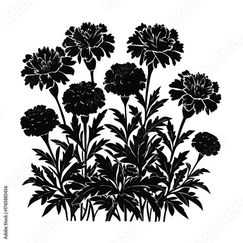 Wallpaper Mural Vintage black and white illustration of a cluster of marigold flowers and foliage Torontodigital.ca