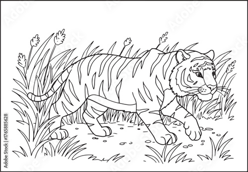 Outlined tiger stalking through tall grasses, suitable for color