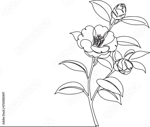 Elegant Camellia Flower Continuous Line Drawing: Minimalist Bota
