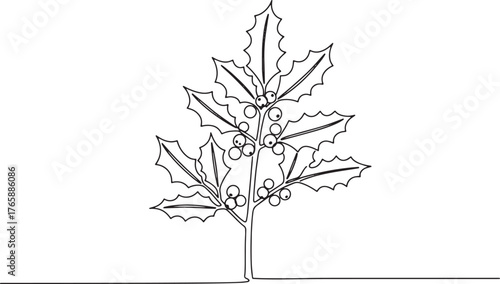 Elegant minimalist line drawing of a holly plant with berries an