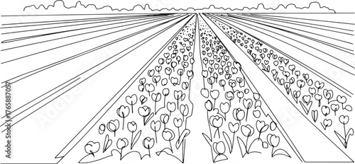 Delicate Tulip Field Landscape: A Minimalist Linear Illustration