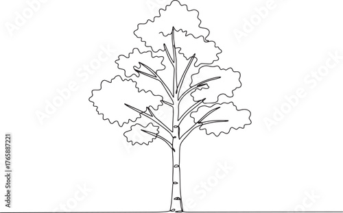 Elegant silver birch tree single continuous line drawing for eco