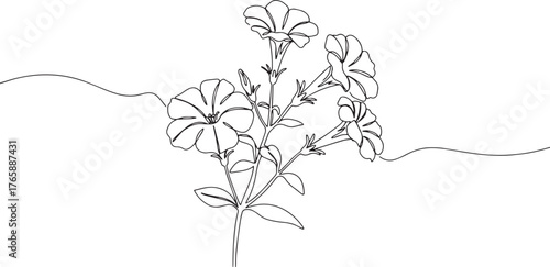 Minimalist Petunia Blossom Illustration: A Continuous Line Drawi
