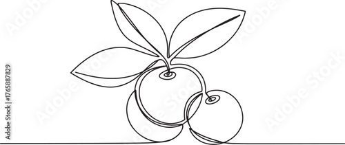 Minimalist continuous line drawing of fresh cherries with leaves