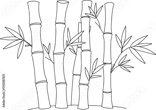 Stylized Bamboo Grove Illustration for Creative and Design Proje