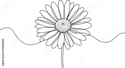 Elegant single line drawing of a daisy flower against a white ba