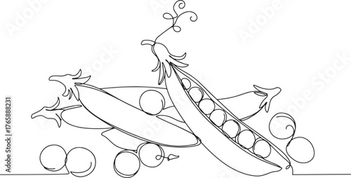 Elegant minimalist line art illustration showcasing fresh snow p