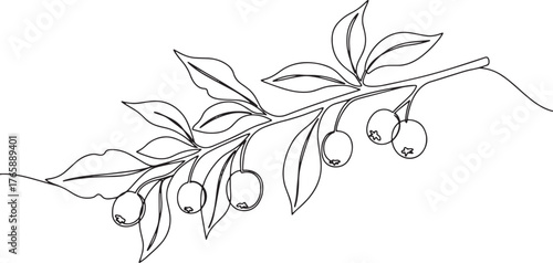 Elegant single line art of a berry branch with leaves against a