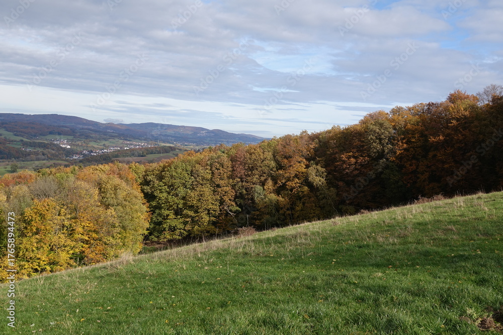 Naklejka premium Waldrand im Odenwald im Herbst