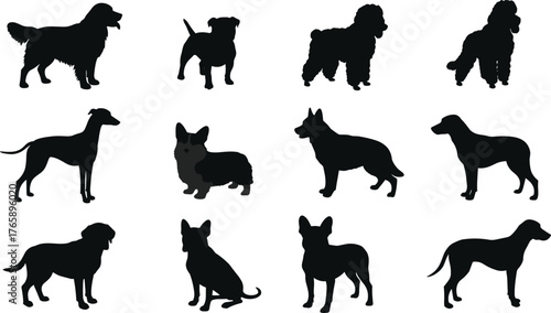  Dog breed silhouette set, black vector illustration of twelve canine profiles, standing pose comparison, pet diversity design, domestic animal identification graphic