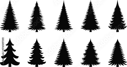 Silhouette of pine trees, evergreen forest icons, black Christmas tree shapes, nature symbols, vector illustration, isolated fir silhouettes, design elements, woodland graphics