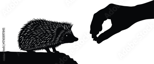  Hedgehog and human silhouette, feeding gesture vector, black animal interaction illustration, gentle moment concept, wildlife care scene, curiosity and connection design