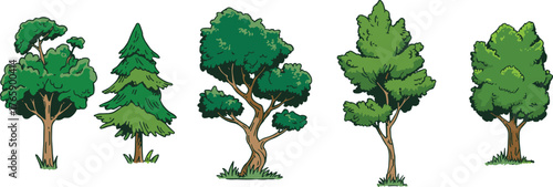 Tree species collection, botanical foliage set, forest elements, nature illustration, diverse tree shapes, educational greenery, vector trees, isolated plant design