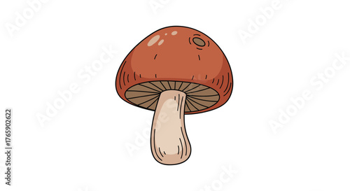 Single brown mushroom with a light stem on a white background.